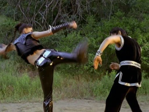 Sanal Dövüşçüler fotoğrafı