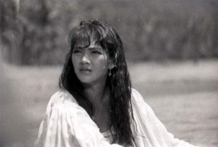 Virgin Forest fotoğrafı