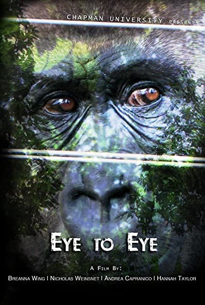 Eye To Eye (2010) afişi