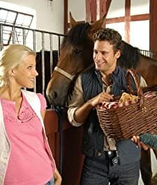 Der Mann Im Heuhaufen (2007) afişi