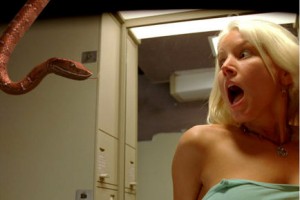 Katil Yılanlar fotoğrafı