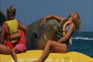 Jaws 4 fotoğrafı