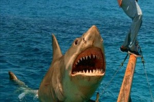Jaws 4 fotoğrafı