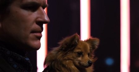 Go Go Tales Fotoğrafı