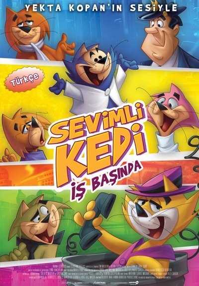 Sevimli Kedi İş Başında fotoğrafı