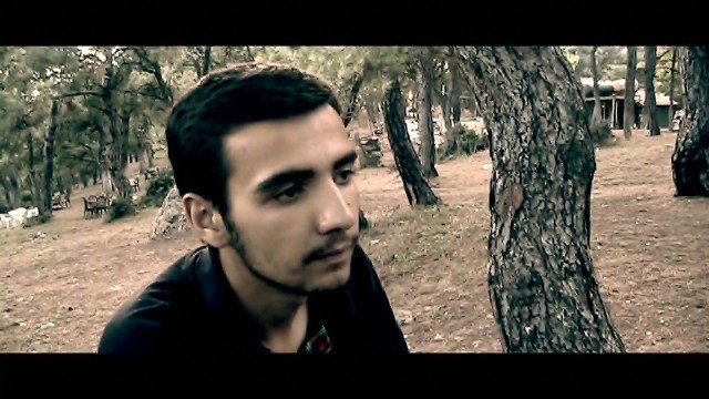 Topal Martı Fotoğrafı