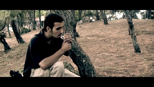 Topal Martı Fotoğrafı