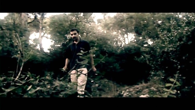 Topal Martı Fotoğrafı