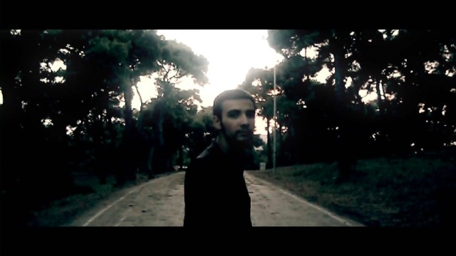 Topal Martı Fotoğrafı