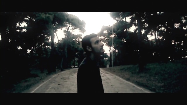 Topal Martı Fotoğrafı