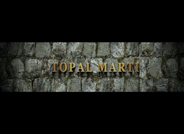 Topal Martı fotoğrafı