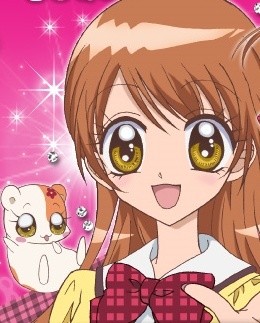 The Best!! Extremely Cool Student Council President Second Collection (2010) afişi