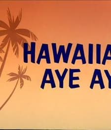 Hawaiian Aye Aye (1964) afişi
