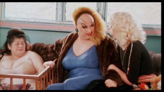 Pembe Flamingolar Fotoğrafı