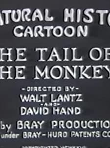 The Tail Of The Monkey (1926) afişi