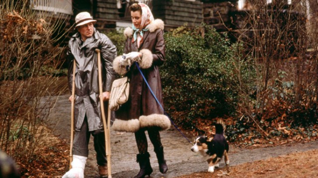 Zoraki Turist Fotoğrafı