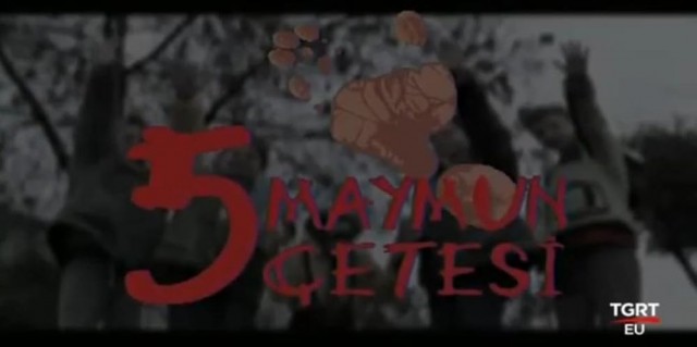 5 Maymun çetesi (1999) afişi