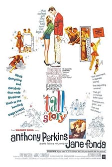 Uzun Hikaye (1960) afişi