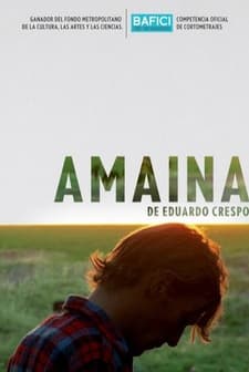 Amaina (2010) afişi