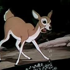 Wacky Wildlife (1940) afişi