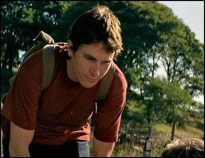 Tüm Küçük Hayvanlar Fotoğrafı