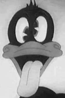 A Coy Decoy (1941) afişi