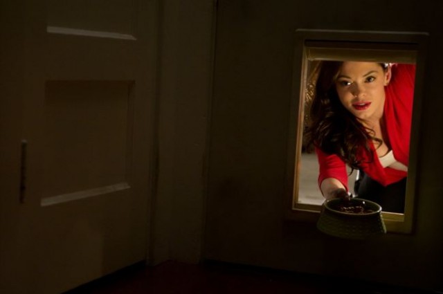 Gül Ağacındaki Şerit Fotoğrafı