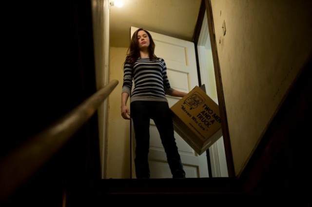 Gül Ağacındaki Şerit Fotoğrafı