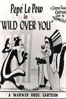 Wild Over You (1953) afişi