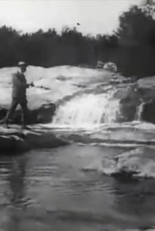 Brook Trout Fishing (1900) afişi