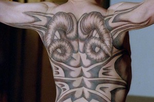 Kızıl Ejder Fotoğrafı