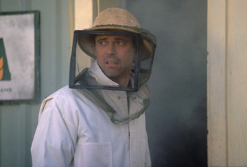 Katil Arılar fotoğrafı