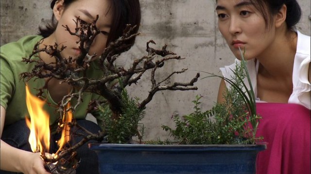 Anyang, Paradise City fotoğrafı