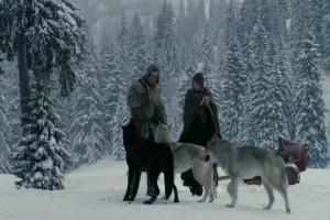 Bakire ile Kurtlar Fotoğrafı