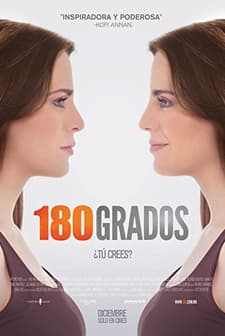 180º (2010) afişi