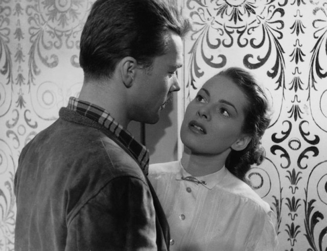 Das Fraulein Und Der Vagabund fotoğrafı