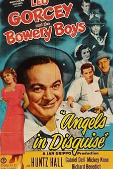 Angels In Disguise (1949) afişi