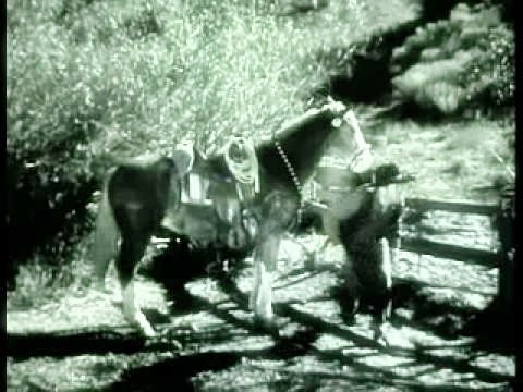 Silver Trails fotoğrafı