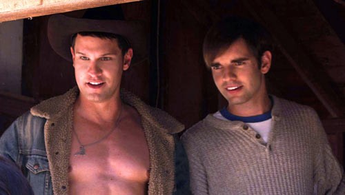 Longhorns fotoğrafı