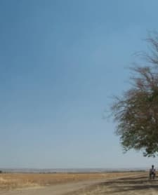 Kaybedenler (2009) afişi