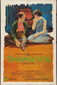 The Shamrock And The Rose (1927) afişi
