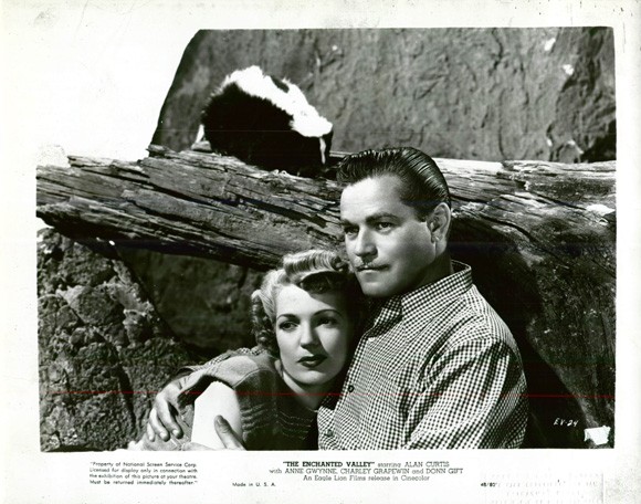 The Enchanted Valley fotoğrafı