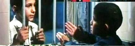 You Are Free fotoğrafı