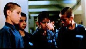 You Are Free fotoğrafı