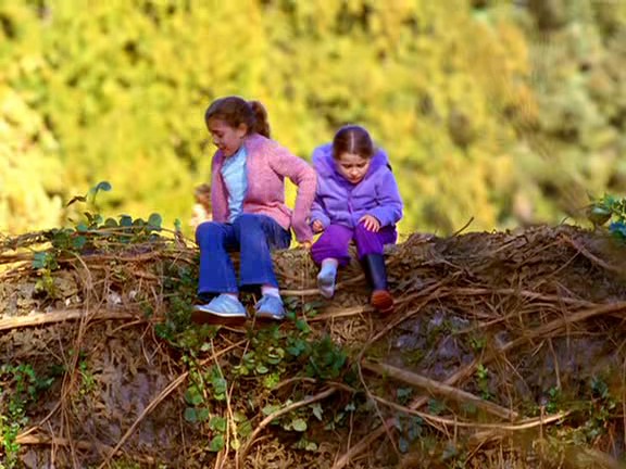 Kahraman Köpek Chestnut fotoğrafı