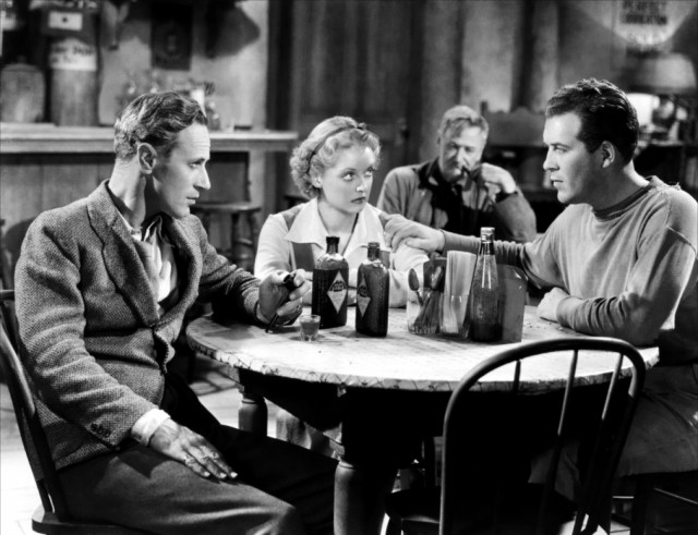 Lanetli Orman Fotoğrafı