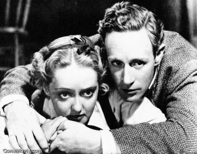 Lanetli Orman fotoğrafı