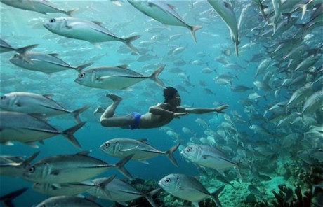 İnsan Gezegeni Fotoğrafı
