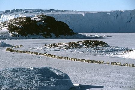 İmparatorun Yolculuğu Fotoğrafı
