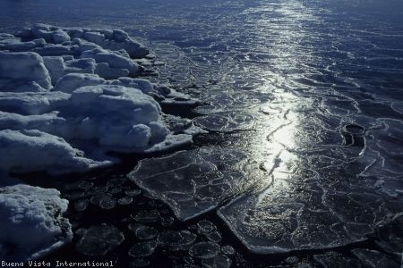 İmparatorun Yolculuğu Fotoğrafı